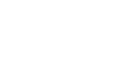 Zoom Technologies